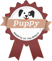 puppies for sale