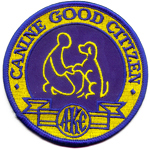Havanese Therapy Dogs Arizona