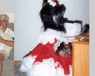 Coolidge Havanese Puppies For Sale