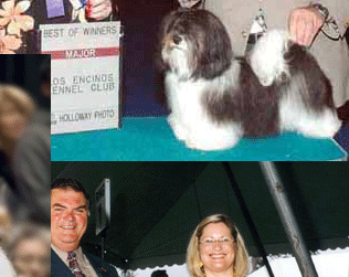 Cave Creek Havanese